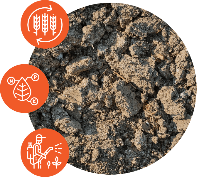 Glebokuracja poziom próchnicy