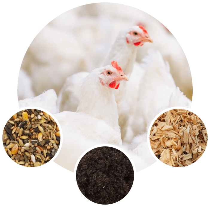 Własna ferma - pewny skład