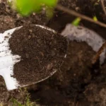 Przygotowanie ziemi do zimy w warzywniku, jak zabezpieczyć mikrobiom i składniki odżywcze przed wymywaniem.